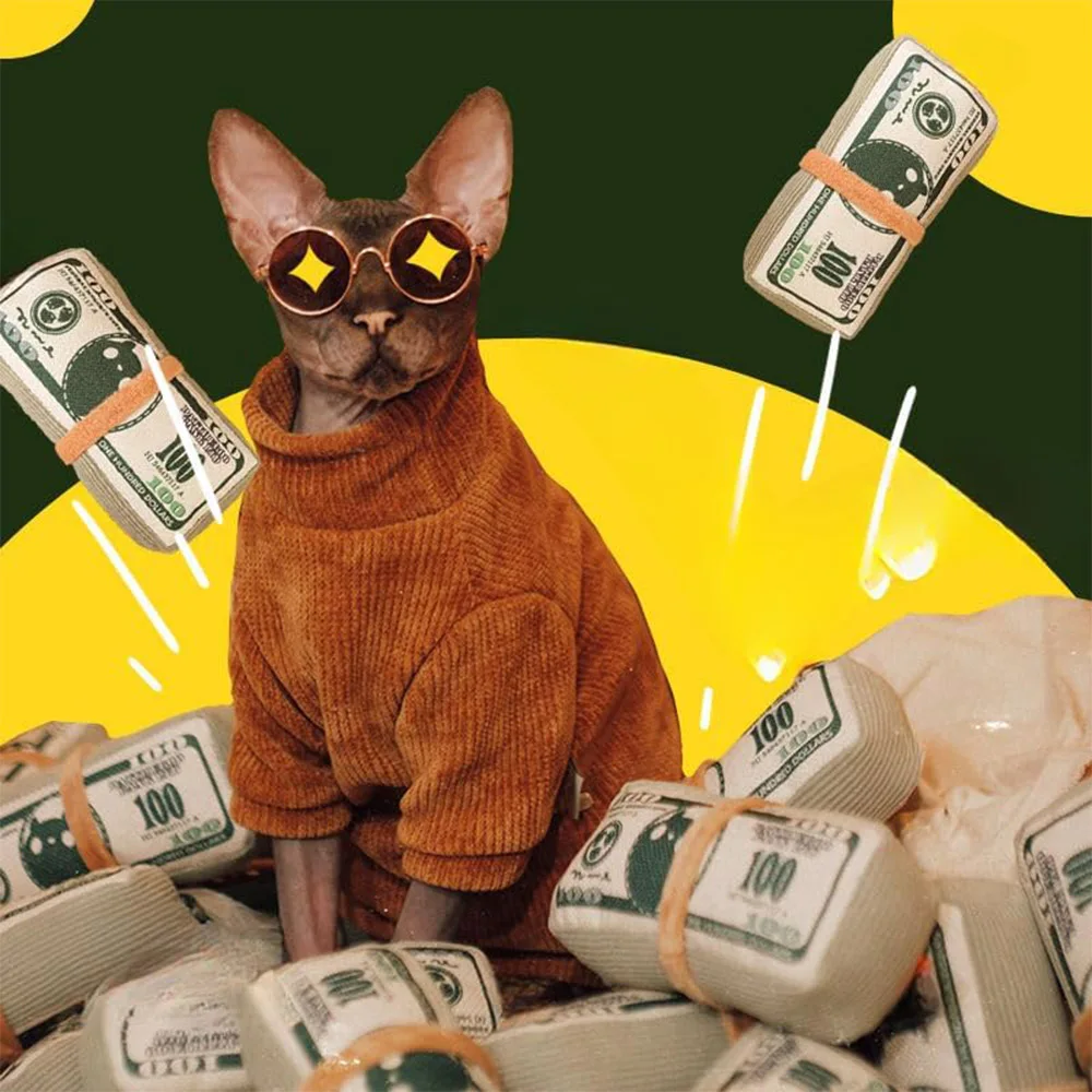 Brinquedo Sonoro para Cães e Gatos em Forma de Dinheiro - Imagem 5