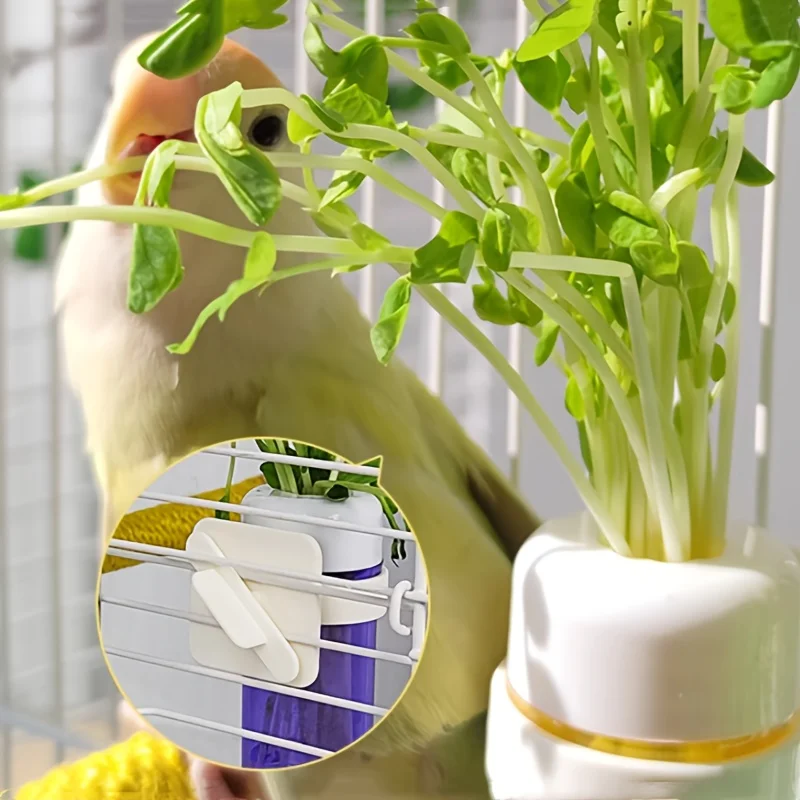 Comedouro para Pássaros Suporte para Vegetais Suspenso na Gaiola - Imagem 5