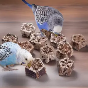 brinquedo de mastigar de frutas naturais para pássaros