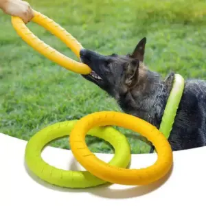 anel brinquedo para cães de EVA