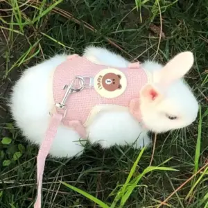 coleira e guia para gatos e coelhos