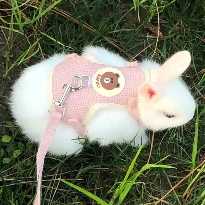 coleira e guia para gatos e coelhos