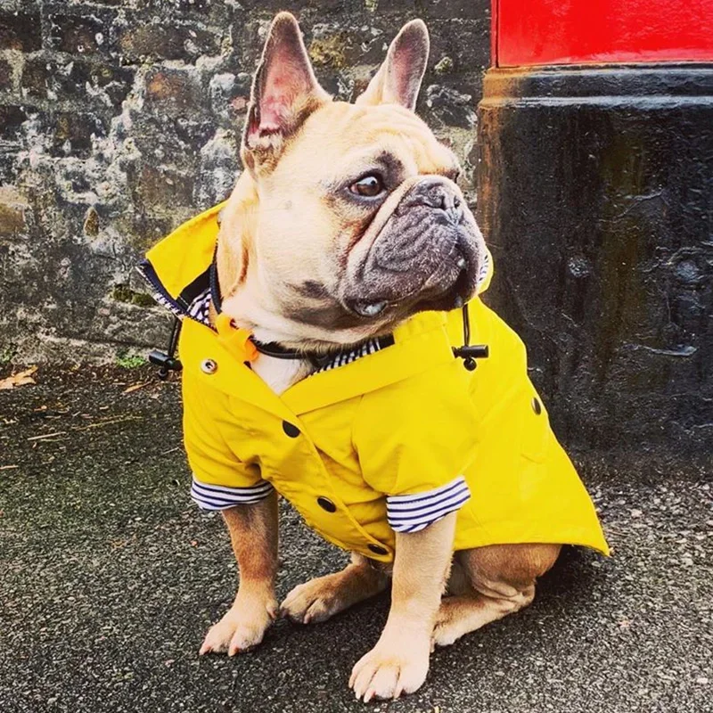 Capa de Chuva para Cães Pequenos e Médios Estilo Fashion - Image 3