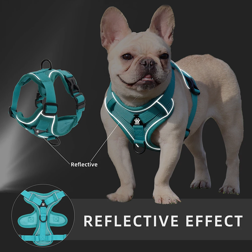 Conjunto Peitoral e Guia para Cães e Gatos Pequenos com Faixa Refletiva - Imagem 4