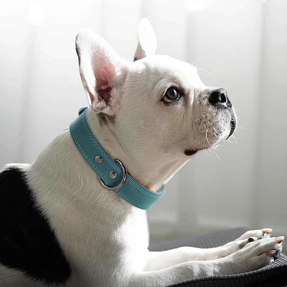 Coleira de Couro para Cães Pequenos e Médios Macia e Durável - Image 4