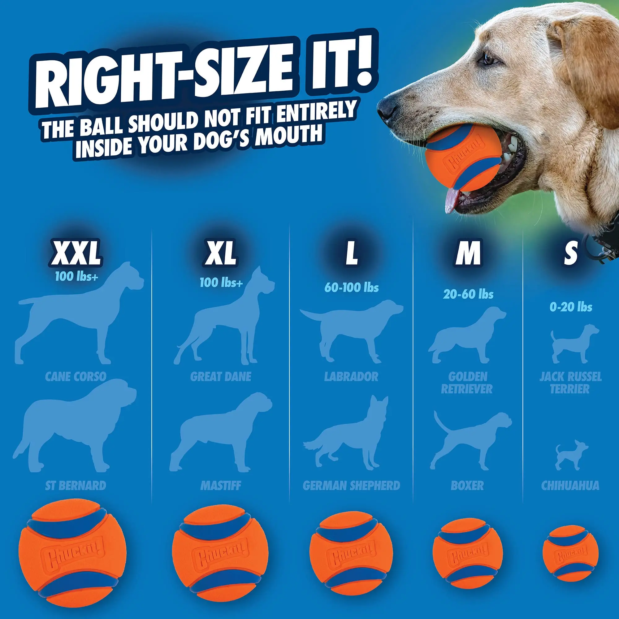 Chuckit! Bola Ultra Ball para Cães Pequenos de Borracha Flutuante - Imagem 5