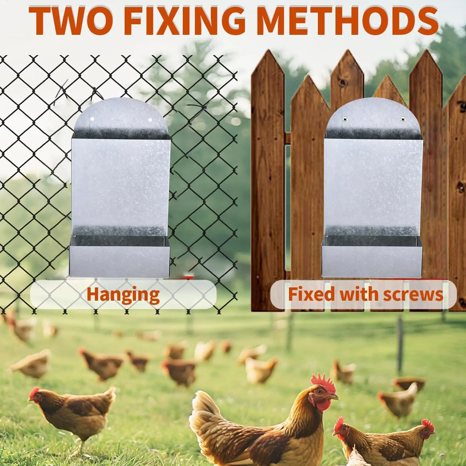 Alimentador Automático para Aves de Aço com Montagem de Metal - Imagem 5