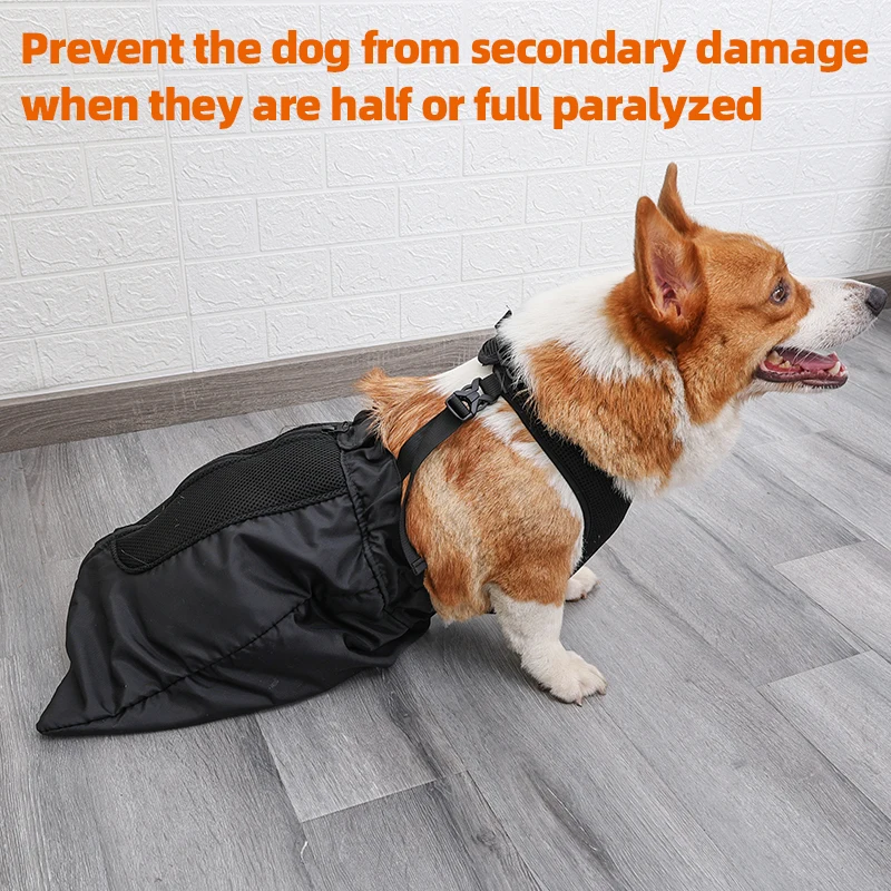 Bolsa de Arrastamento para Cães com Pernas Traseiras Ajustável - Imagem 4