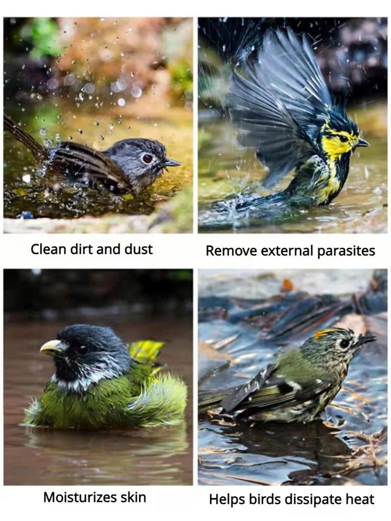 Banheira Espelhada para Pássaros Pequenos de Plástico com Encaixe na Gaiola - Image 2