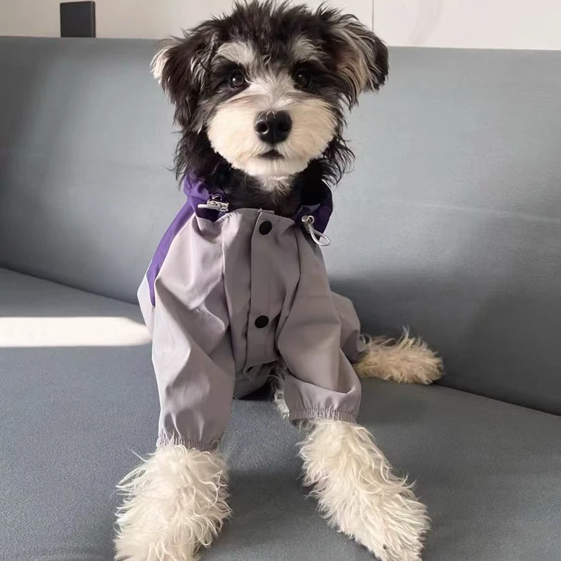 Capa de Chuva para Cães Pequenos e Médios Impermeável - Imagem 5