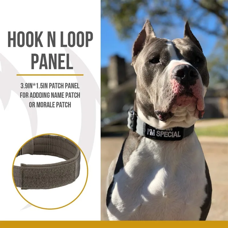 Coleira Tática de Nylon para Cães Ajustável para Passeio - Image 4