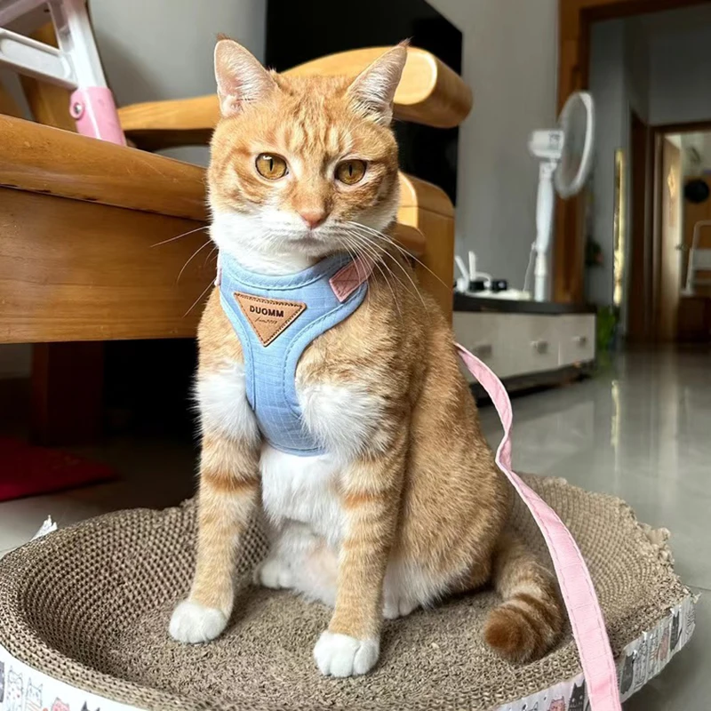 Coleira e Guia Ajustáveis para Gatos para Passeio - Imagem 3