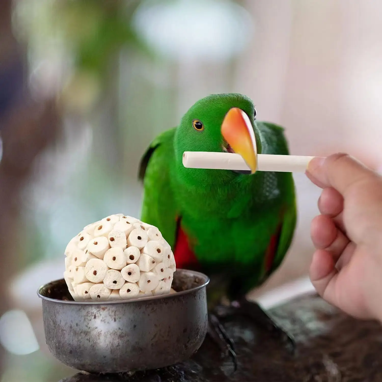 Brinquedo Bola para Papagaio de Plantas Naturais para Mastigar - Imagem 5