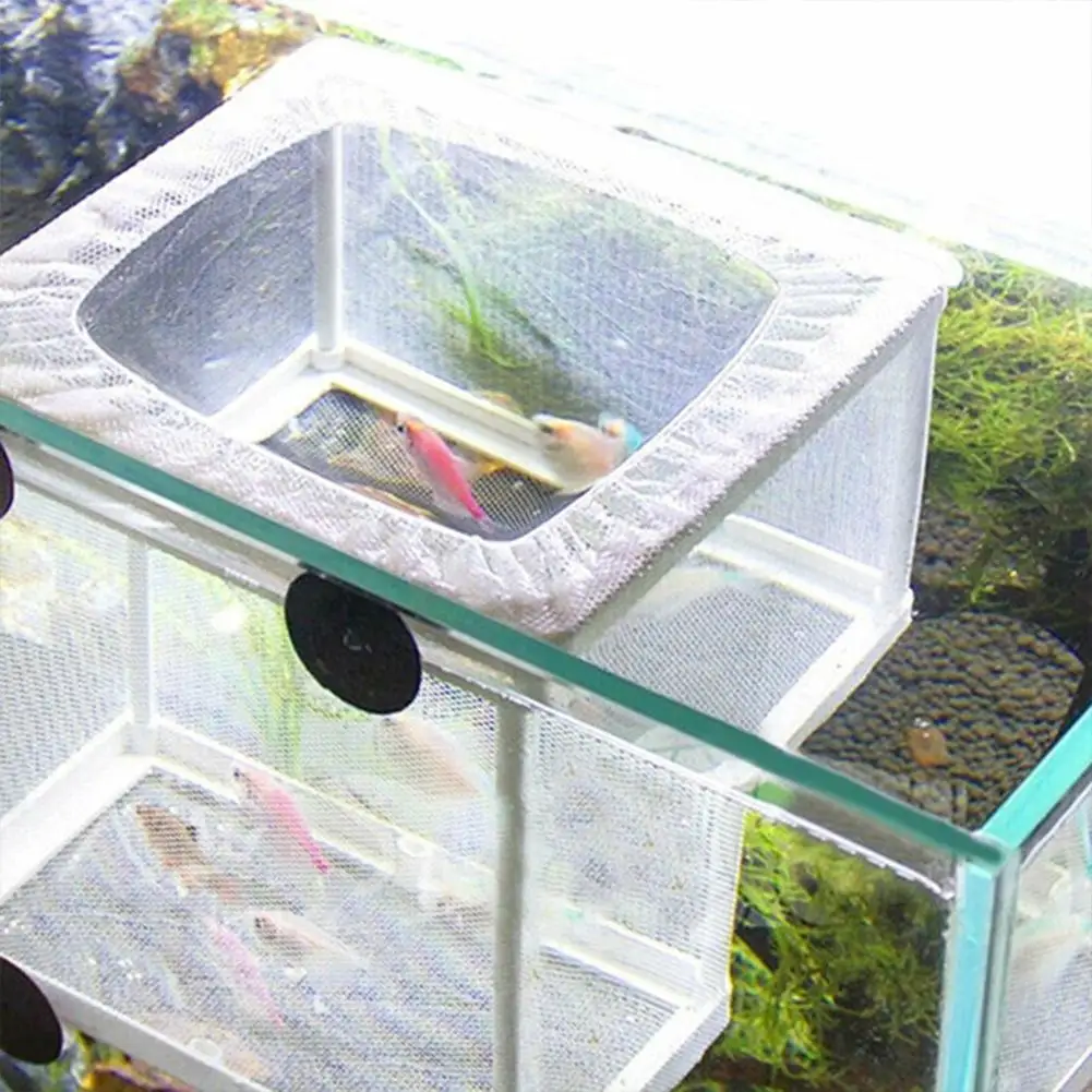Caixa de Isolamento para Aquário com Ventosa 16x14x15 cm - Imagem 4