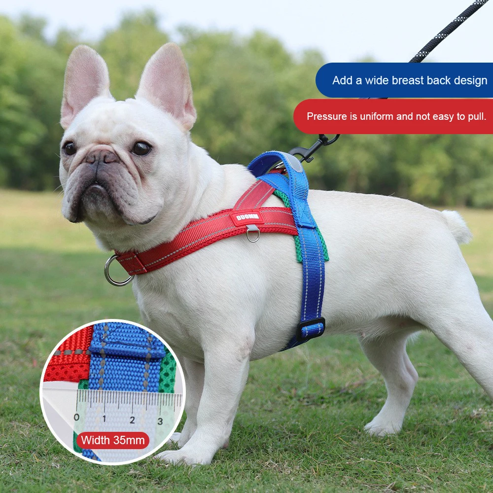 Colete Peitoral Acolchoado para Cães Pequenos e Médios com Faixas Refletivas - Imagem 4