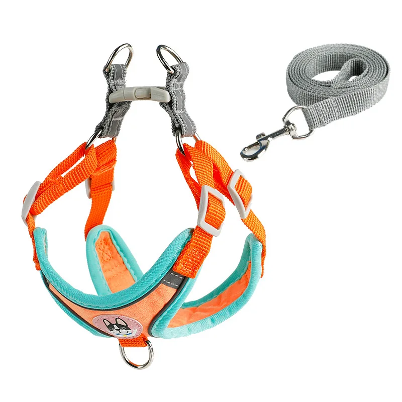 Conjunto Coleira e Peitoral para Cães Pequenos Ajustável para Passeio - Imagem 2