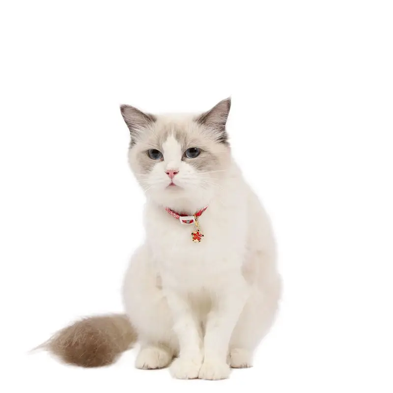 Coleira Floral para Cães e Gatos Ajustável com Sino - Image 3