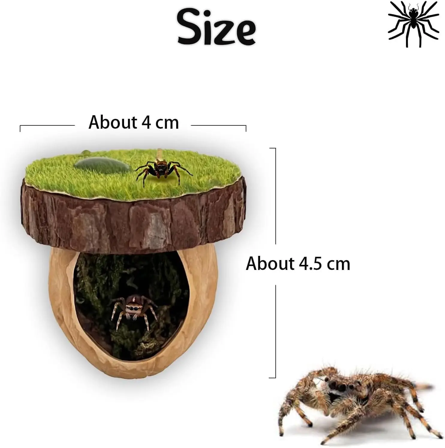 Kit de Decoração para Habitat de Aranha com Esconderijo - Imagem 6