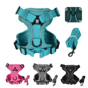 conjunto peitoral e guia para cães refletivo