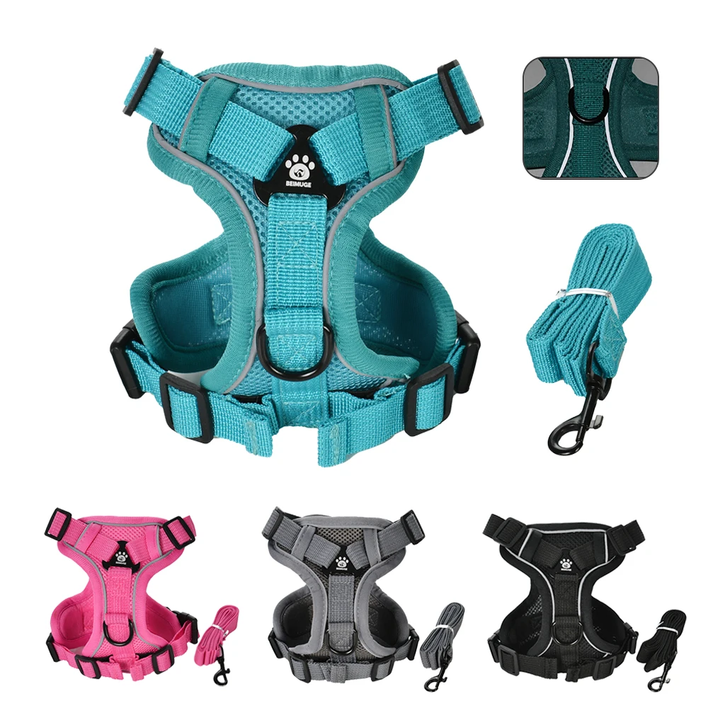 conjunto peitoral e guia para cães refletivo