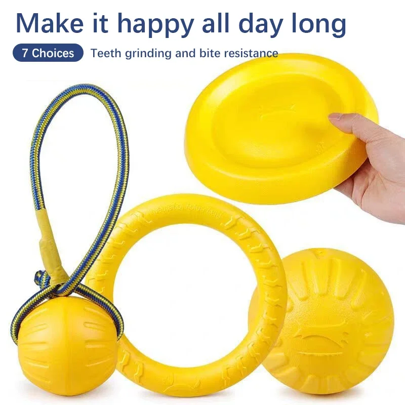 brinquedo bola flutuante para cães