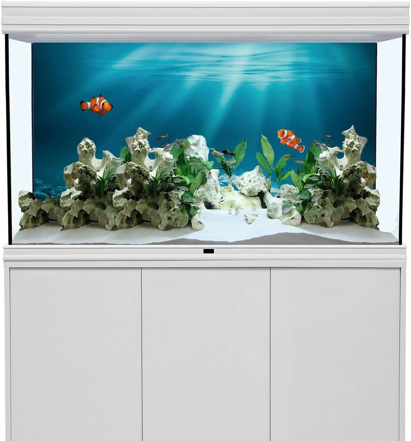 Pintura de Fundo para Aquário com Recifes Marinhos Aplicação Fácil - Image 2