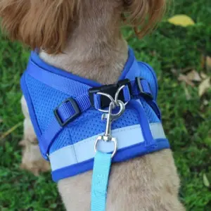 colete peitoral de malha para cães