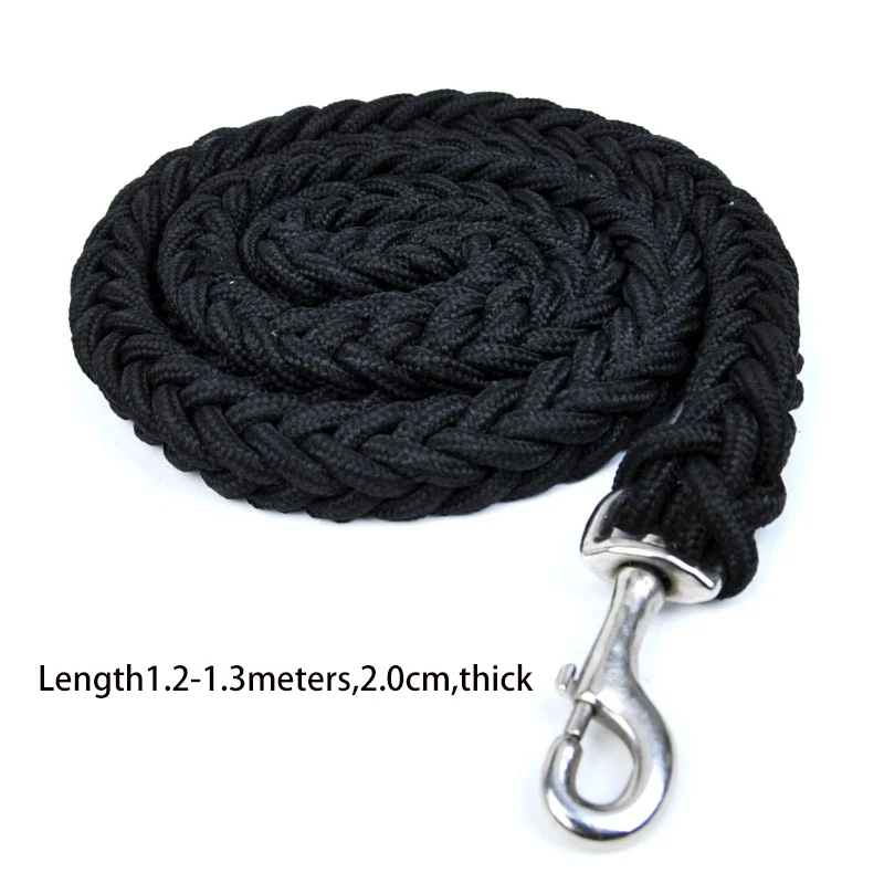 Coleira para Cães Grandes de Nylon Durável para Treinamento - Imagem 3