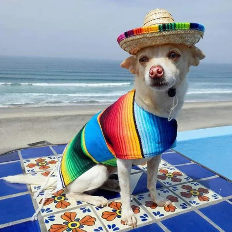 Chapéu Sombrero de Palha para Cães e Gatos Pequenos com Ajuste no Queixo - Image 3