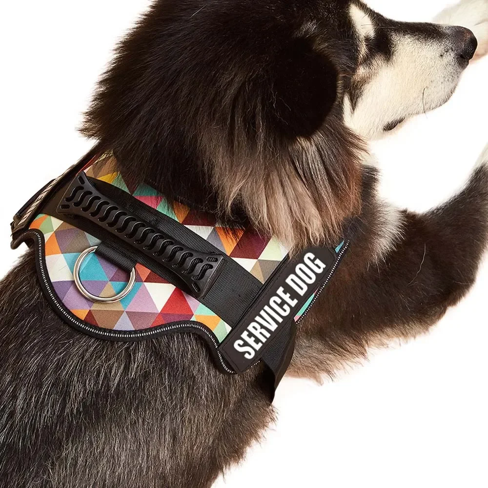 Coleira Peitoral para Cães com Faixa Refletiva e Patches Removíveis - Image 4