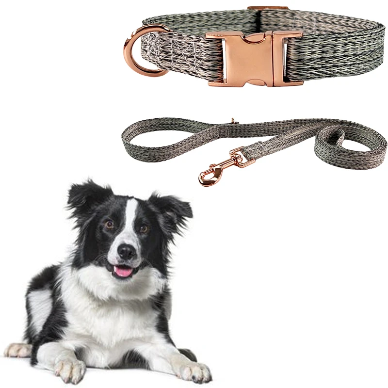 Coleira e Guia para Cães de Nylon Ajustável com Fivela de Metal - Imagem 4