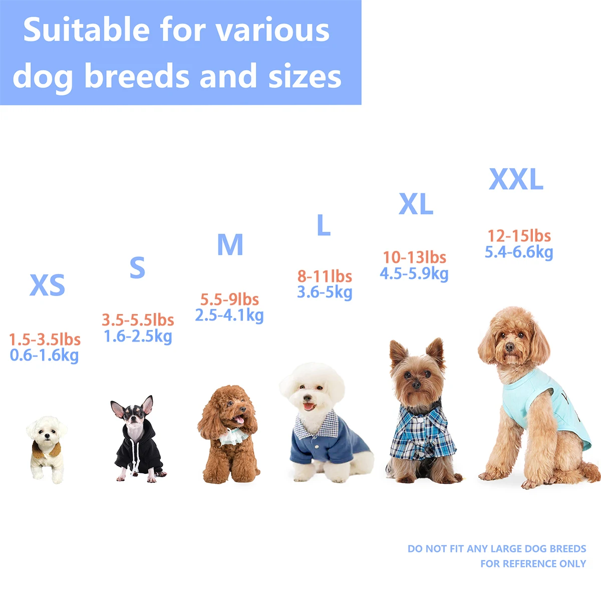 Suéter Leve para Cães Pequenos Chihuahua Yorkie em Cores Variadas - Imagem 3