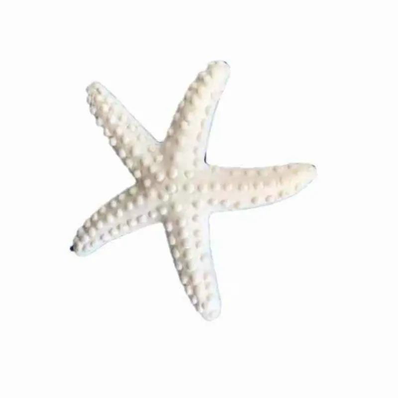 9 Seixos para Aquário Coloridos Fluorescentes em Forma de Concha e Estrela - Imagem 5