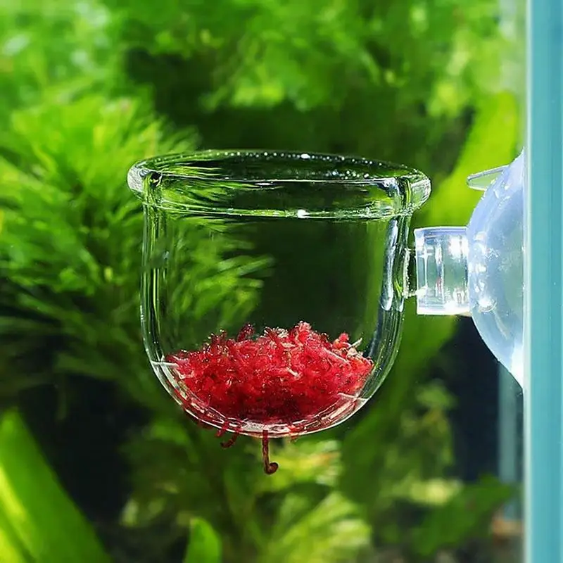 Mini Vaso Acrílico para Aquário com Ventosa Cor Castanho Vermelho - Imagem 4
