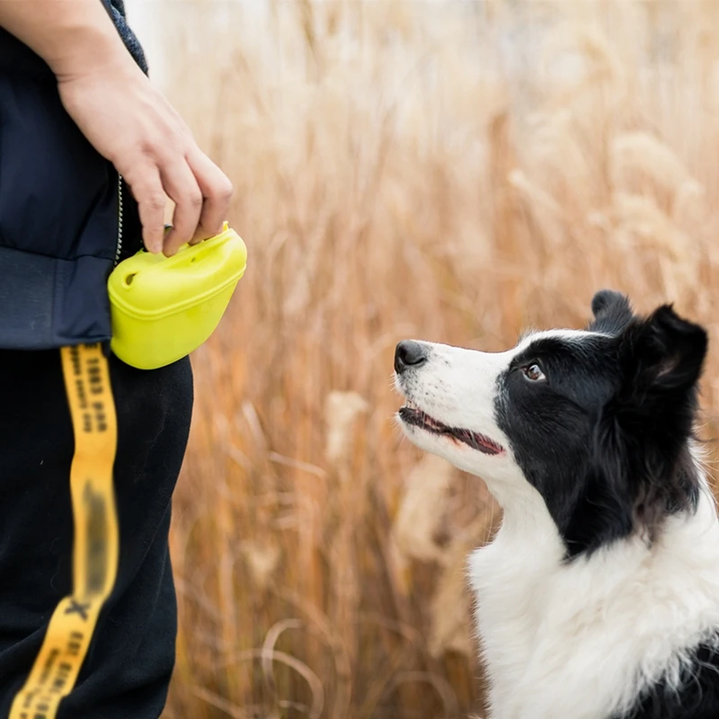 Bolsa de Cintura para Treinamento de Cães com Ímã e Clipe - Imagem 5
