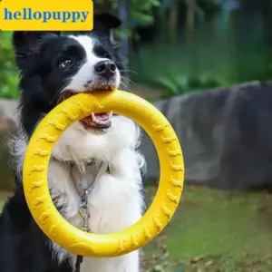 brinquedo de argola para cães