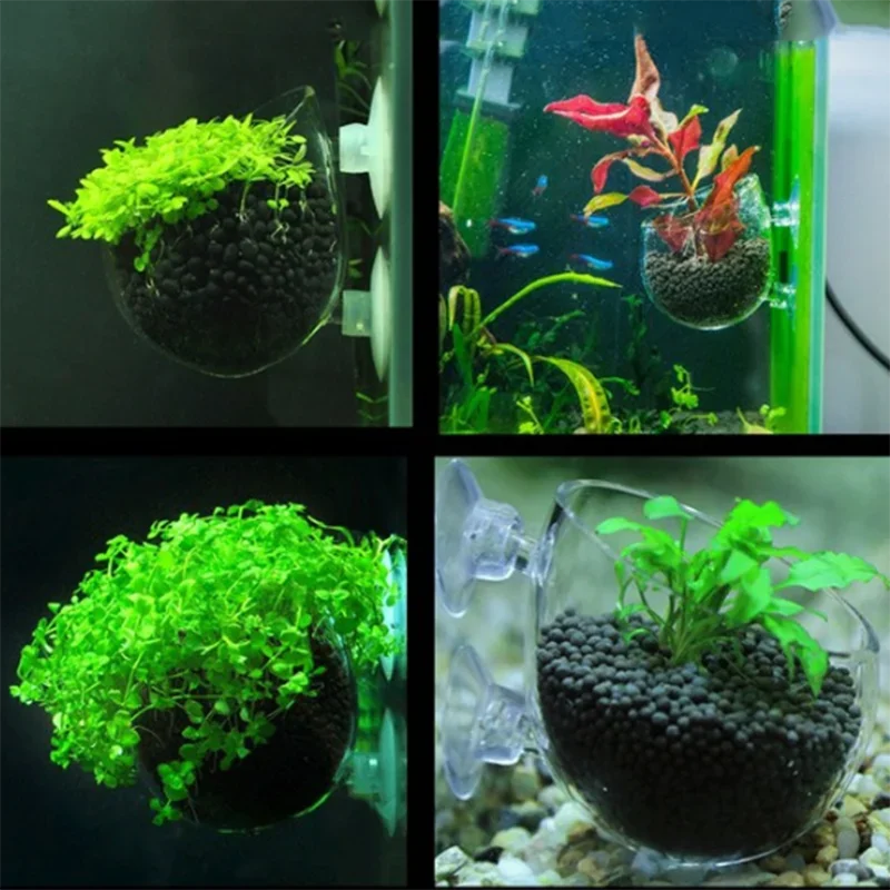 Copo de Vidro para Aquário 7x6,4cm com Ventosa - Imagem 5