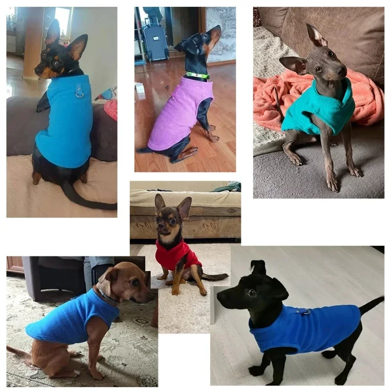 Jaqueta de Lã para Cães Pequenos com Argola em D - Imagem 5