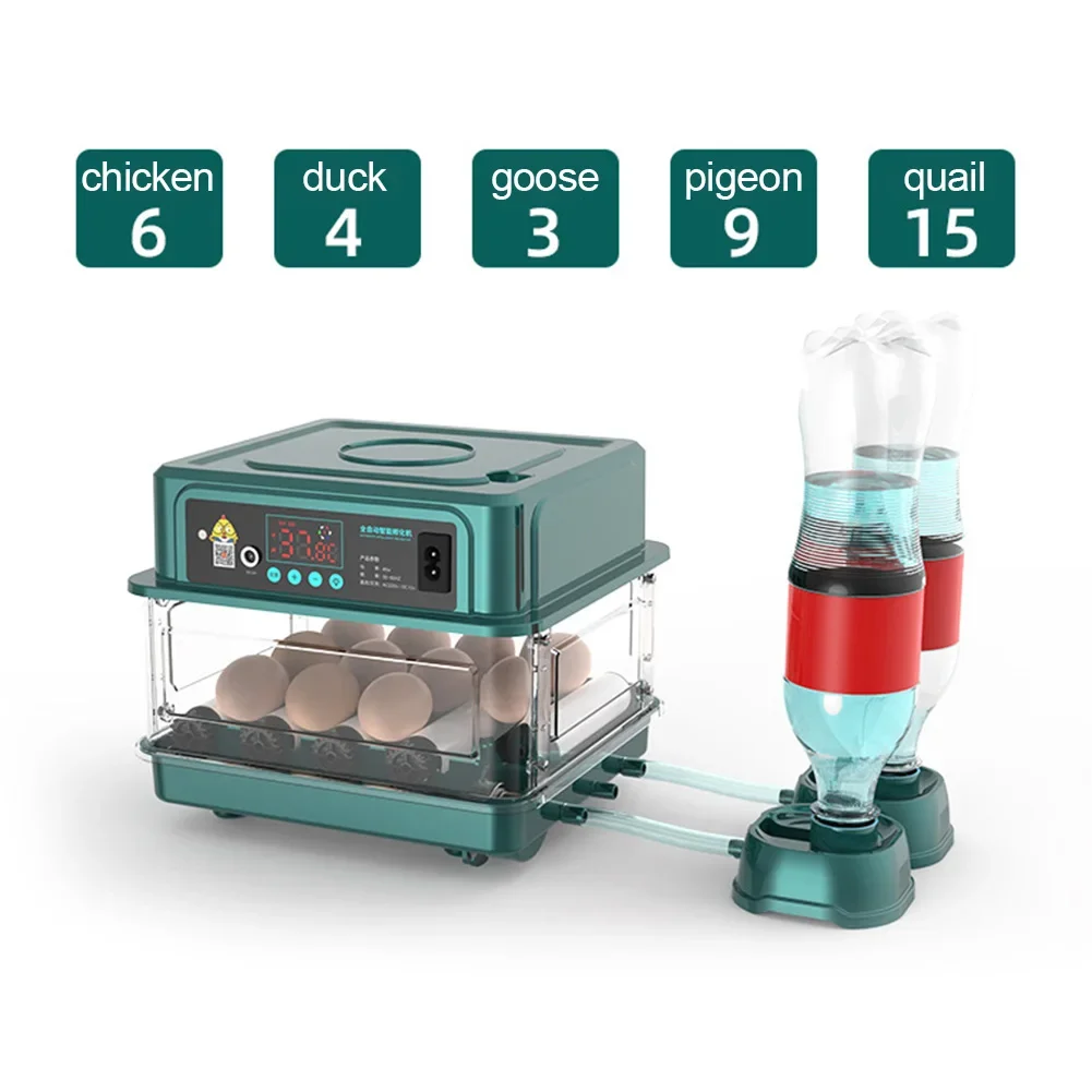 Incubadora de Ovos Automática para Aves com Viragem e Ovoscópio - Imagem 5