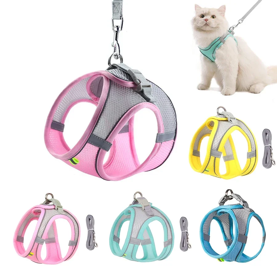 arnês ajustável para cães pequenos