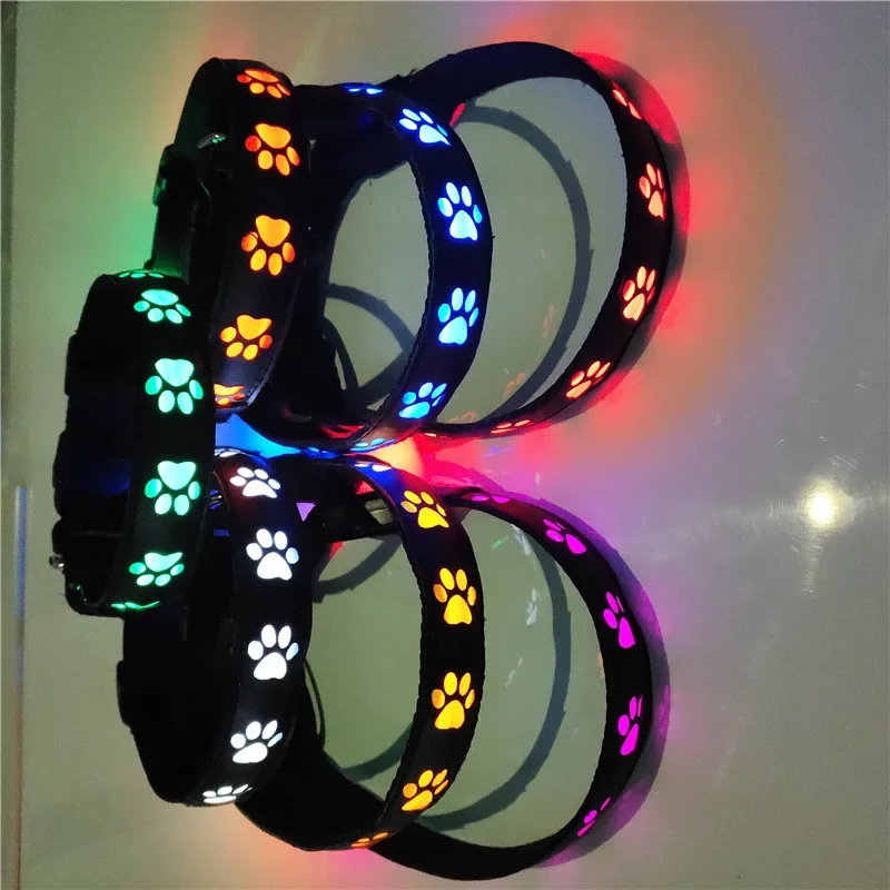 Coleira Luminosa para Cães com Pata e Luz Antiperda - Imagem 4