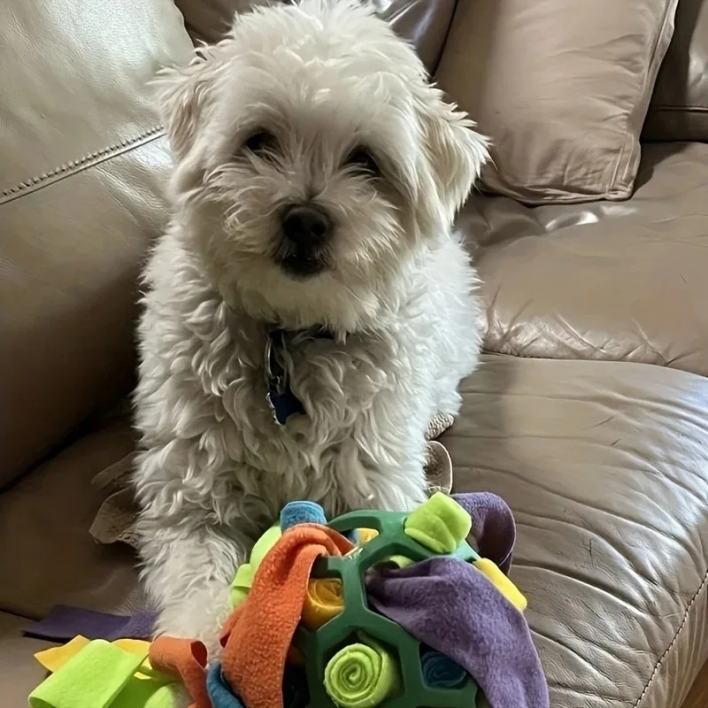 Bola Interativa para Cães Esconde Petiscos Brinquedo Quebra-Cabeça - Imagem 6