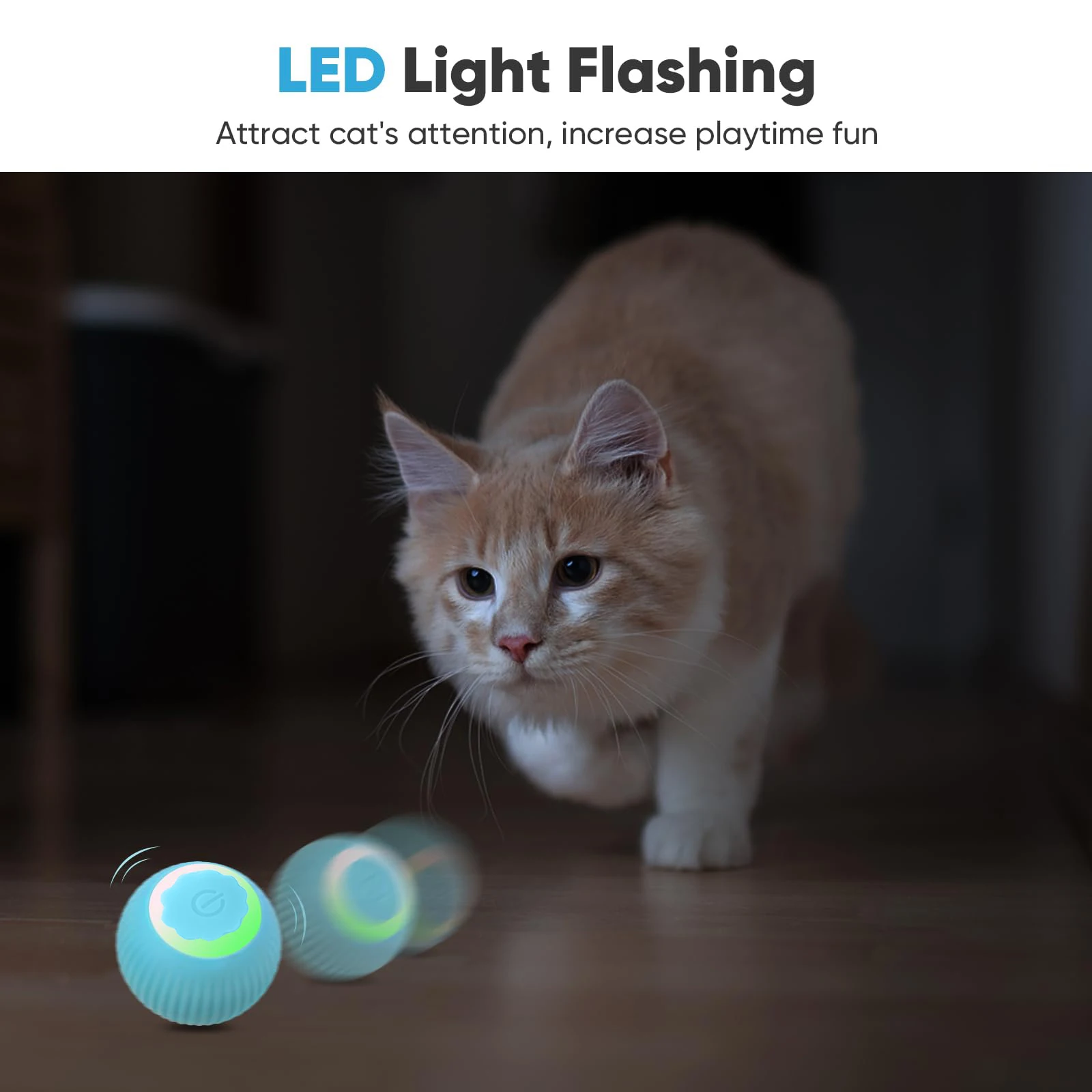 Bola Rolante para Gato e Cães Pequenos Recarregável USB 42 mm - Imagem 6