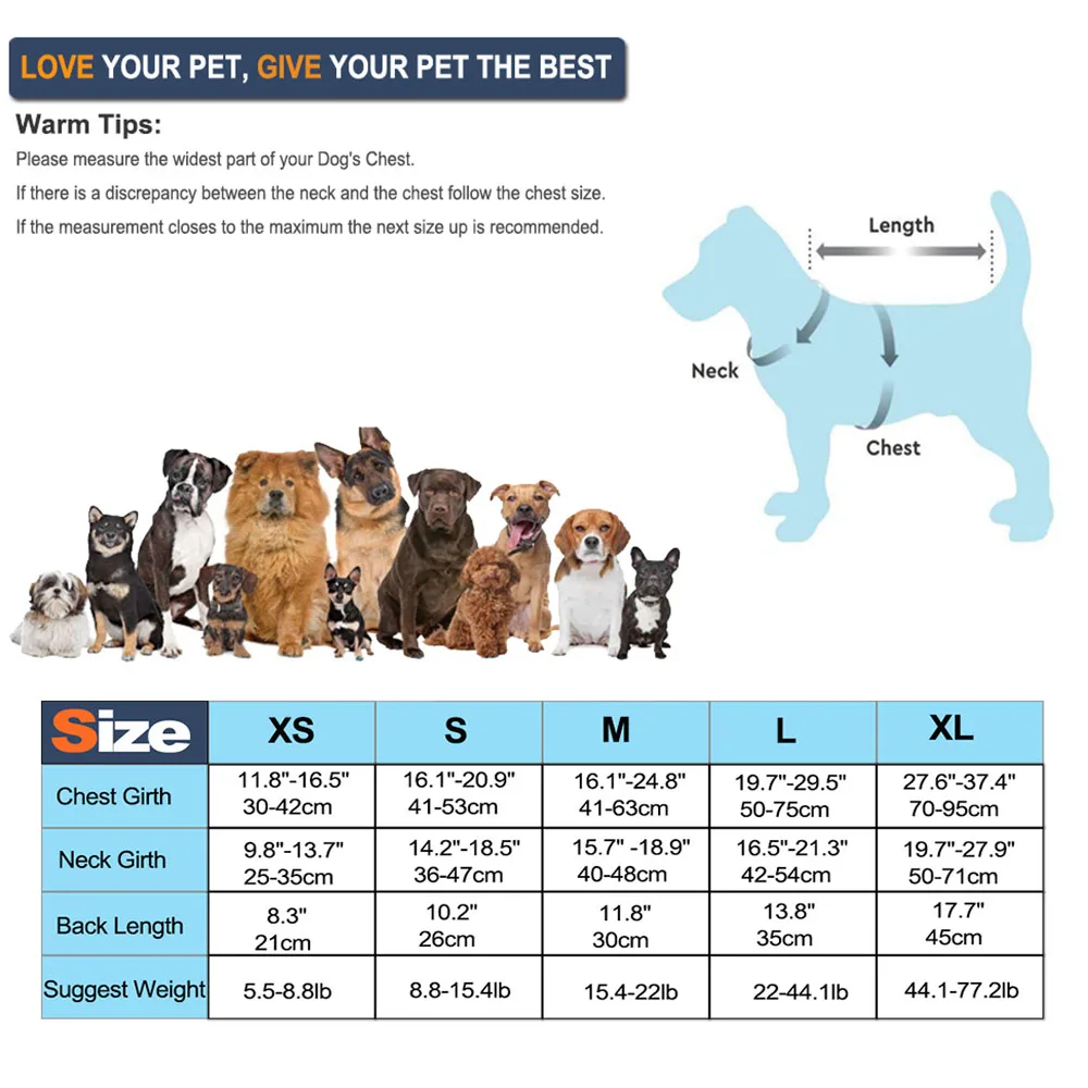Colete Salva-Vidas para Cães com Alça para Natação e Praia - Image 6