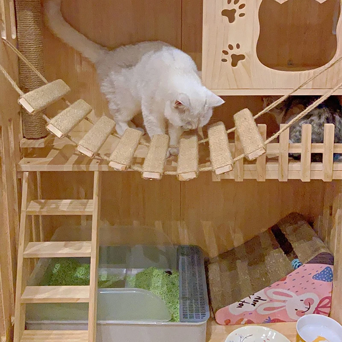 Escada para Gatos de Madeira e Sisal de 50 cm para Escalada - Imagem 4