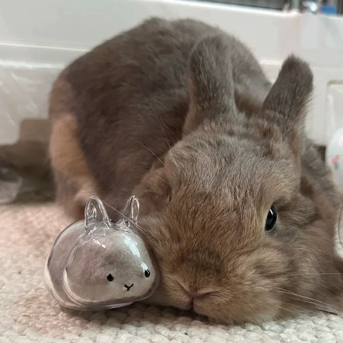 Chaveiro Porta-Pelos para Coelhos Transparente - Imagem 4