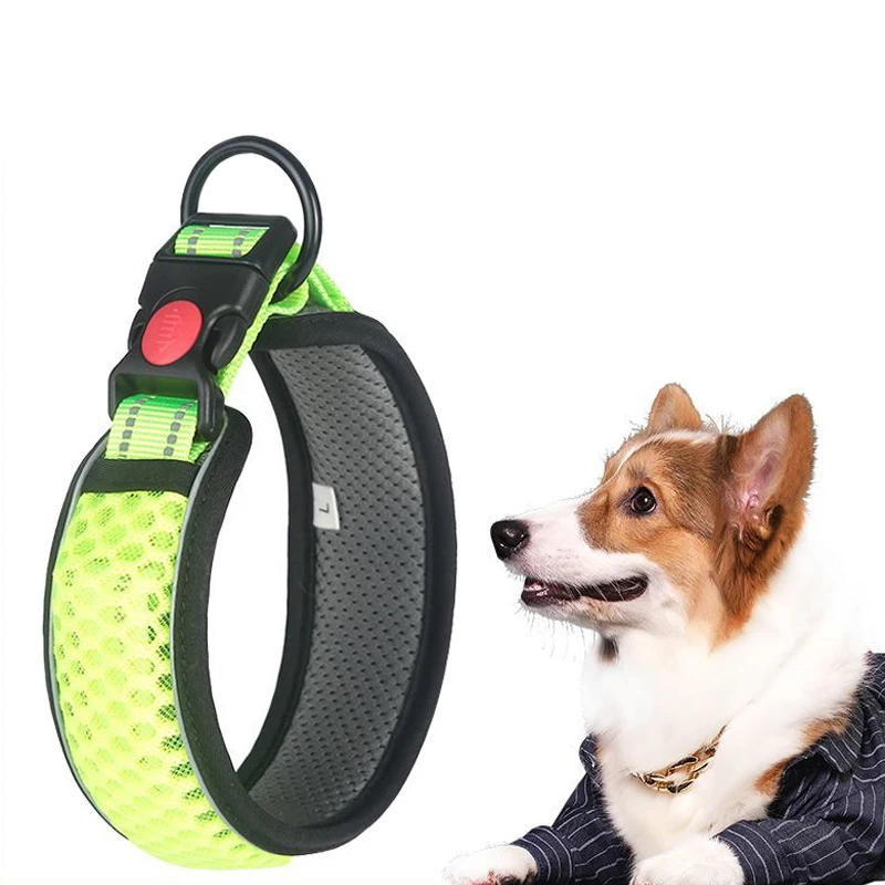 Coleira para Cães de Nylon Ajustável com Faixa Refletiva - Imagem 3
