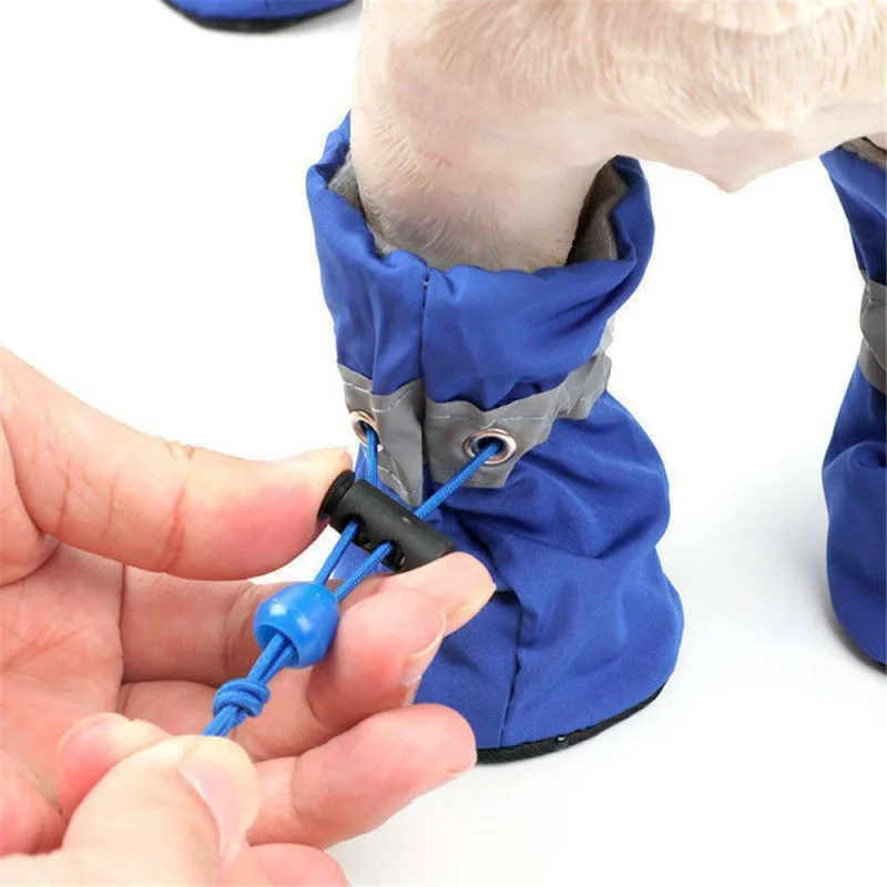 botas impermeáveis para cães pequenos
