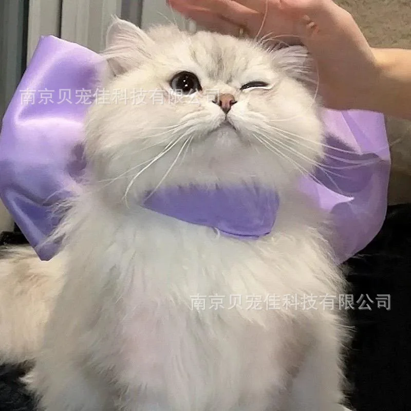 Coleira Laço para Gatos Decorativa Branca - Imagem 5