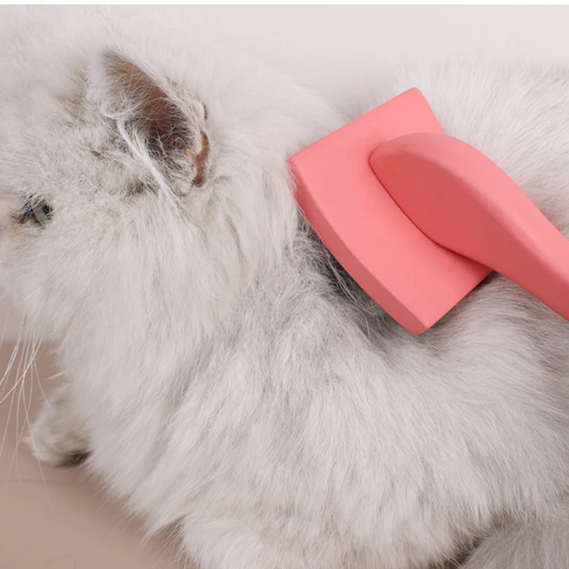 Escova Removedora de Pelos para Pet com Cabo Longo - Imagem 5